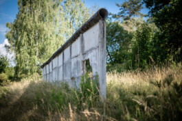 WANDERWALL
