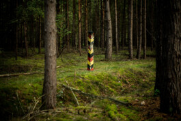 WANDERWALL